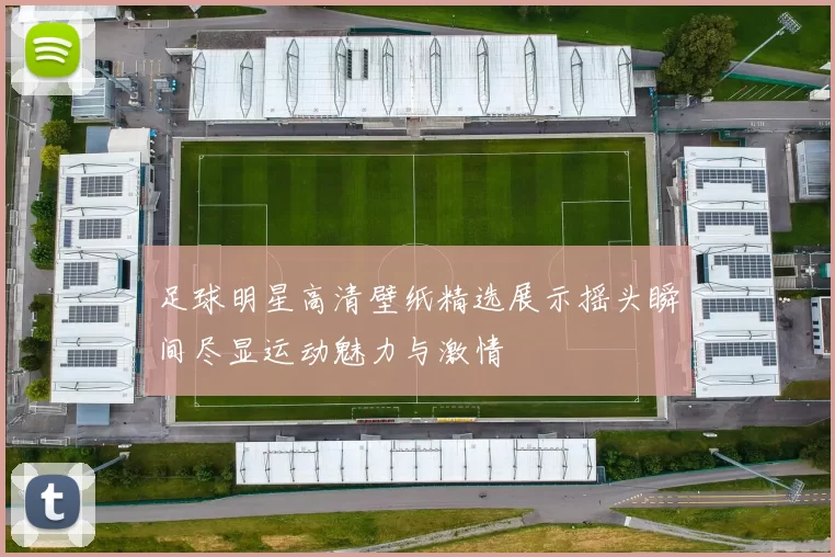 足球明星高清壁纸精选展示摇头瞬间尽显运动魅力与激情
