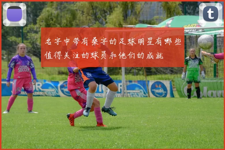 名字中带有桑字的足球明星有哪些值得关注的球员和他们的成就