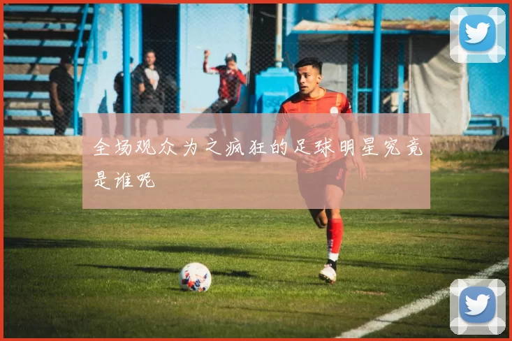 全场观众为之疯狂的足球明星究竟是谁呢