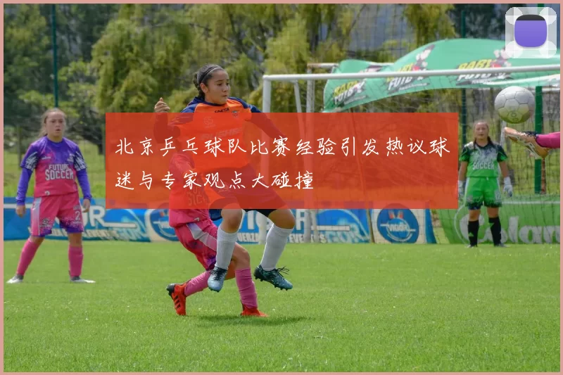 北京乒乓球队比赛经验引发热议球迷与专家观点大碰撞
