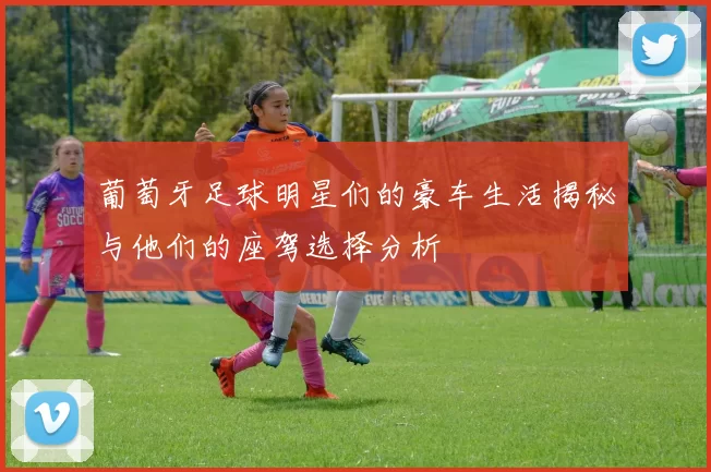 葡萄牙足球明星们的豪车生活揭秘与他们的座驾选择分析