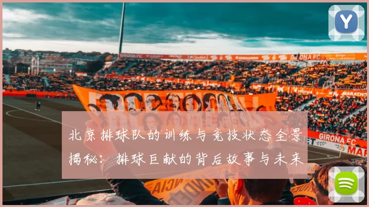 北京排球队的训练与竞技状态全景揭秘：排球巨献的背后故事与未来展望