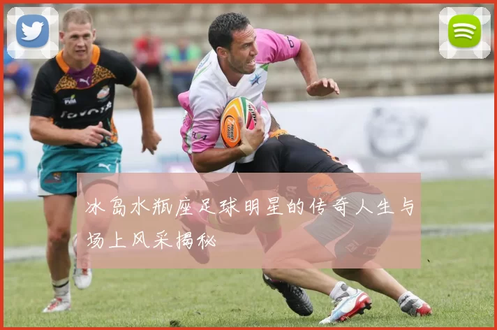 冰岛水瓶座足球明星的传奇人生与场上风采揭秘