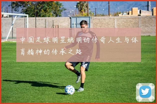 中国足球明星姚明的传奇人生与体育精神的传承之路