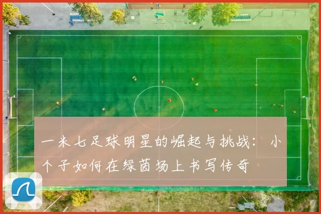 一米七足球明星的崛起与挑战：小个子如何在绿茵场上书写传奇