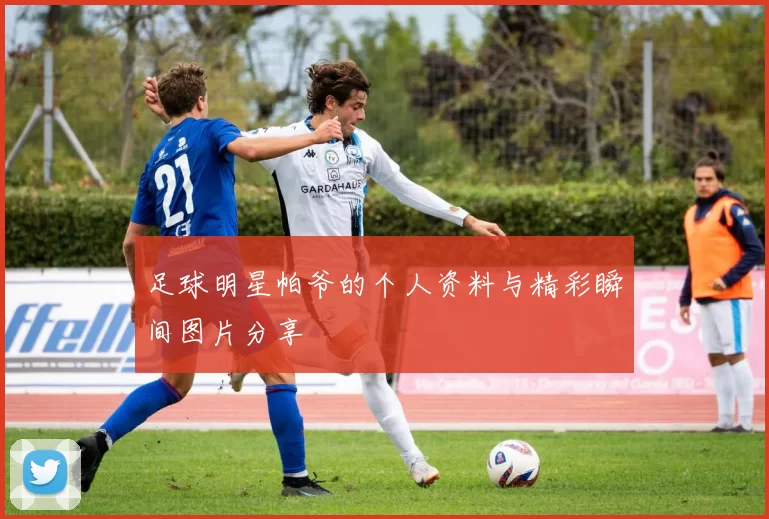 足球明星帕爷的个人资料与精彩瞬间图片分享