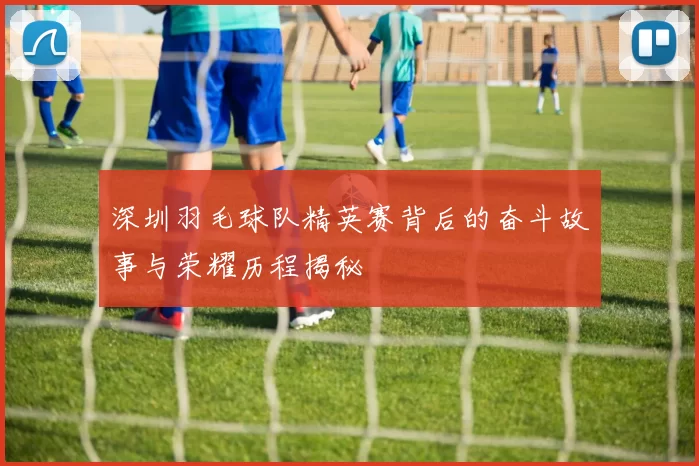 深圳羽毛球队精英赛背后的奋斗故事与荣耀历程揭秘