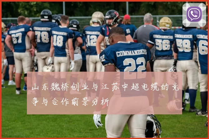山东魏桥创业与江苏中超电缆的竞争与合作前景分析