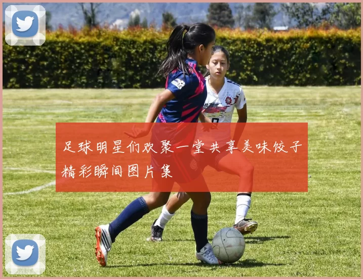 足球明星们欢聚一堂共享美味饺子精彩瞬间图片集