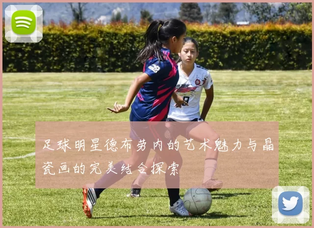 足球明星德布劳内的艺术魅力与晶瓷画的完美结合探索