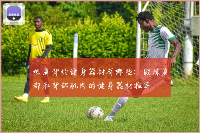 练肩背的健身器材有哪些：锻炼肩部和背部肌肉的健身器材推荐
