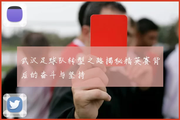 武汉足球队转型之路揭秘精英赛背后的奋斗与坚持