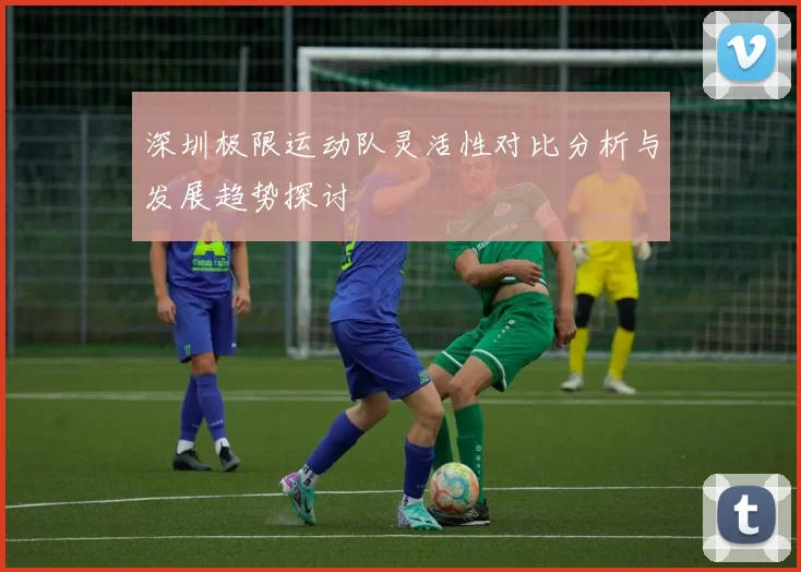 深圳极限运动队灵活性对比分析与发展趋势探讨