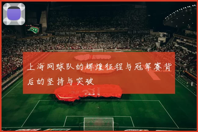 上海网球队的辉煌征程与冠军赛背后的坚持与突破