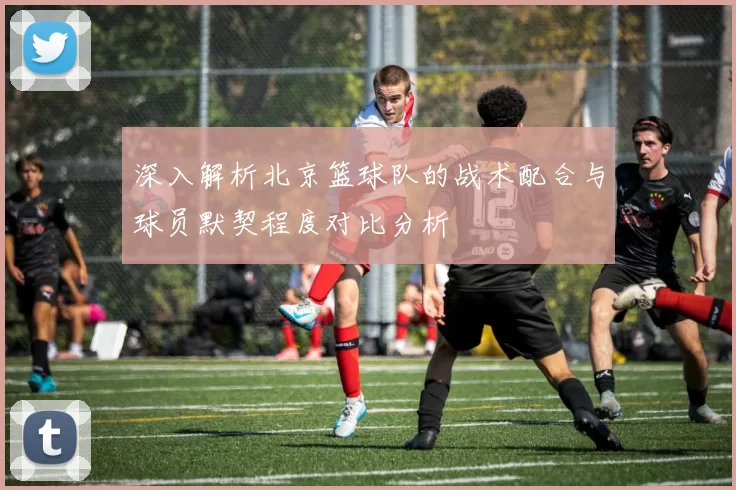 深入解析北京篮球队的战术配合与球员默契程度对比分析