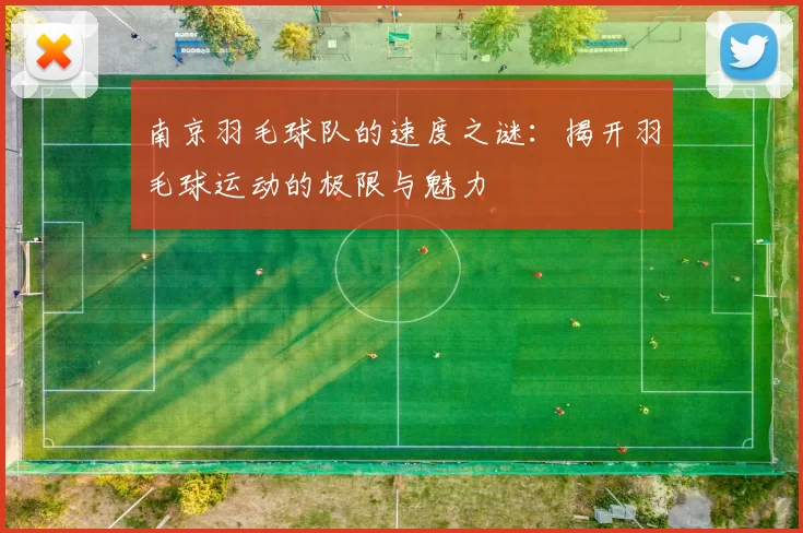 南京羽毛球队的速度之谜：揭开羽毛球运动的极限与魅力