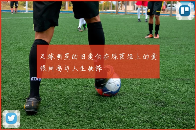 足球明星的旧爱们在绿茵场上的爱恨纠葛与人生抉择