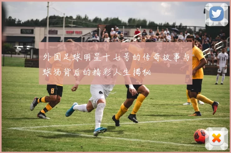 外国足球明星十七号的传奇故事与球场背后的精彩人生揭秘
