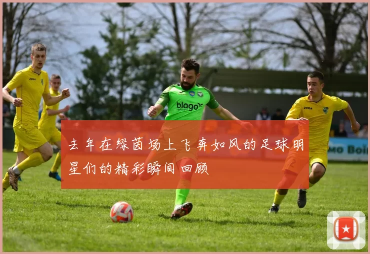 去年在绿茵场上飞奔如风的足球明星们的精彩瞬间回顾