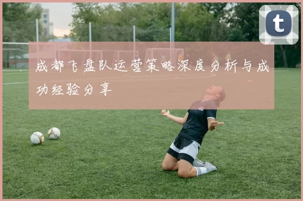 成都飞盘队运营策略深度分析与成功经验分享