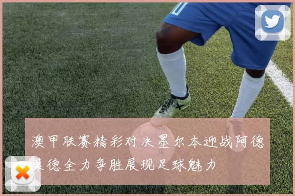 澳甲联赛精彩对决墨尔本迎战阿德莱德全力争胜展现足球魅力