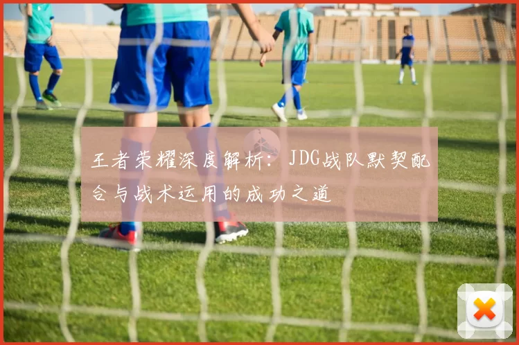 王者荣耀深度解析：JDG战队默契配合与战术运用的成功之道