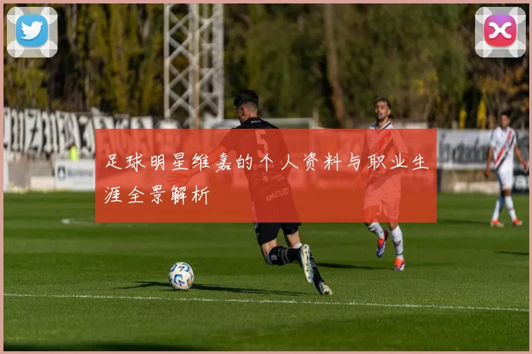 足球明星维嘉的个人资料与职业生涯全景解析