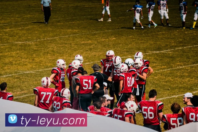 乐鱼体育平台生态图