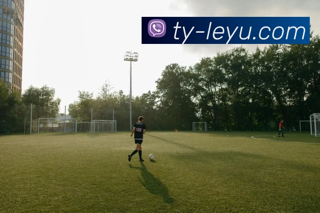 乐鱼体育全站App